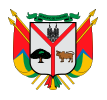 Escudo de Yaguará